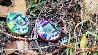 banana slug and tamagotchi 2