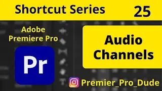 How to see Audio Channels in Adobe Premiere Pro 2020 | Premier Pro Dude