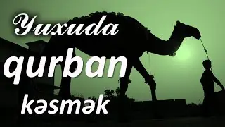 Yuxuda qurban kəsmək ☾✵ Qısa 
