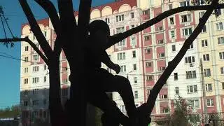 Праздник двора Пролетарский район Тула 2014 год 00029