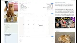 Notion for Absolute Beginners  - Blocks and Databases Made Simple