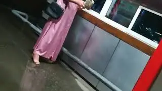 Ночная бабочка)