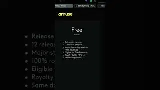 Music Distribution with Amuse.io 