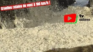 QUIBERON   |  🌬️ 🌊 🏄‍♂️ Rafales de vent à 100km/h   | TV Quiberon 24/7