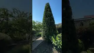 Еще один участок💚