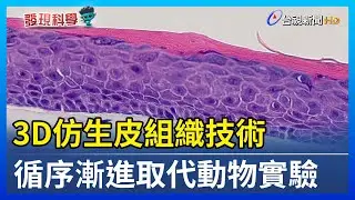 3D仿生皮組織技術 循序漸進取代動物實驗