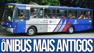 Os Ônibus Mais Antigos Que Ainda Circulam No Transporte Público de São Paulo