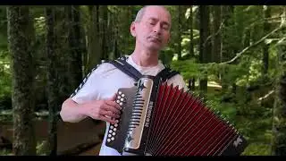 #Гармонь_по_заказу_Ре_мажор_трёх_голосная