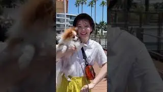 高槻かなこ / soda [Image Video]