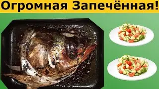 Huge and Tasty Silver Carp Head in the Oven How to Cook a Silver Carp Head