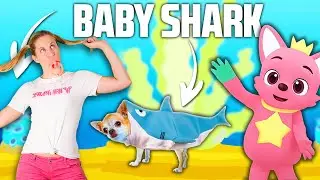 Just Dance 2020 | BABY SHARK - Pinkfong | Gameplay