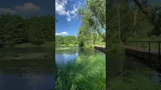 Природа 🦆