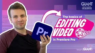 The Basics Of Video Editing In Adobe Premiere Pro