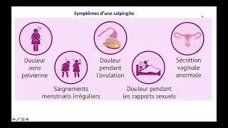 Vidéo 5 sur le chapitre 9.4.  Infertilité et aide médicale à la procréation