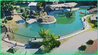 Hyper REALISTIC SEA LION & UNDERWATER Viewing Habitat - Planet Zoo Speedbuild