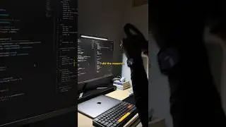 The Best Coding Bootcamp Under 1k 
