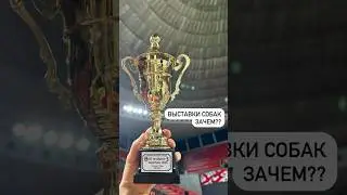Для чего мы на самом деле ходим на выставки?