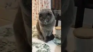 КРИЗИС ЗАКОНЧИЛСЯ😀 
