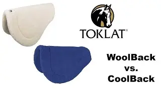 Toklat Woolback vs. Toklat Coolback