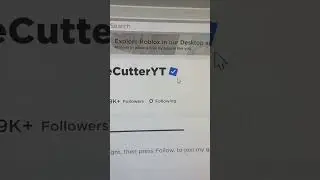 Roblox verification system explained
