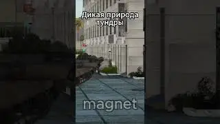 507/550✅ #вартандер #warthunder #мем #танки