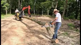 You will NEVER Guess what we FOUND inside this log!