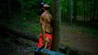 How to Cut a Tree Down ( Felling tutorial )