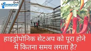भूमिविकास से लेकर फसल कटाई तक हाइड्रोपोनिक सेटअप को पूरा करने में कितना समय लगता है?