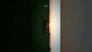 Claas Sunset 😮  #agriculture  #farming