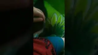 кіт чмоня