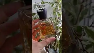 парфумерні фаворити жовтня