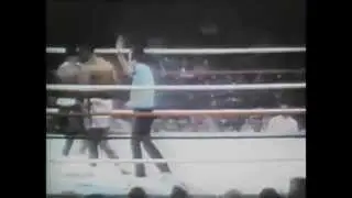 BOXINGS BEST