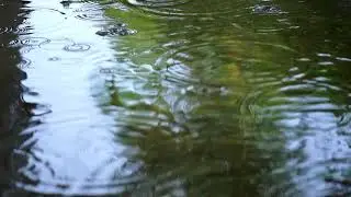 free stock footages | rain falling on the water of a lake seen up