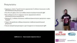 Субботин А. С. - Чума глазами невролога. Часть 2
