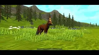 Прокачка Лисы. Выполняю квесты в игре WildCraft | Симулятор животных | Вилд крафт