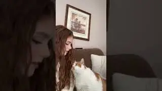 Минуточка романтики❤️