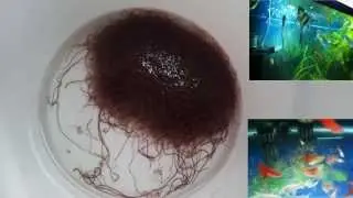 ПРОМЫВКА И ХРАНЕНИЕ ТРУБОЧНИКА