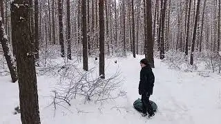 зима 2022