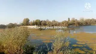 28 октября 2020 г.