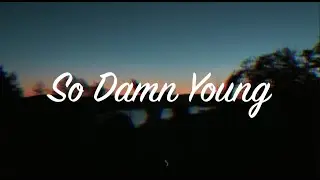 TEHYA - So Damn Young (Official Lyric Video)