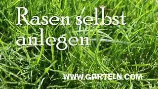 Rasen selbst anlegen