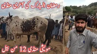 Price update from the largest animal market of AJK || part 1 #animals