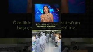 Türk bilim insanları deney hayvanlarının yerini alacak çip geliştirilecek