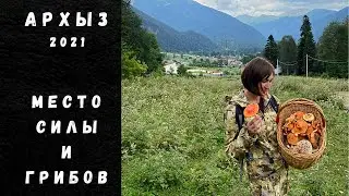 ГРИБЫ АРХЫЗА
