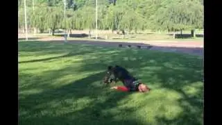 Kullerbytta med bäckenlyft och tactical pop-up