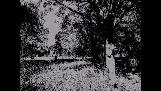 demo #4 merveist #sint #blackmetal #raw #demo #music