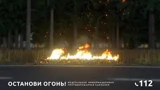 Лес не пепельница! Потуши окурок 
