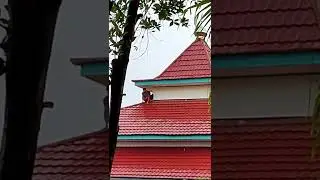 detik-detik terjebak hujan saat perbaiki speaker TOA
