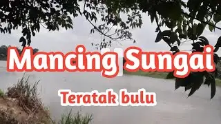 Spot Mancing Sungai Teratak bulu Pekanbaru.