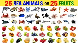 25 Fruits Name English and Hindi I 25 Water Animals Name English to Hindi I Fruits and Animals